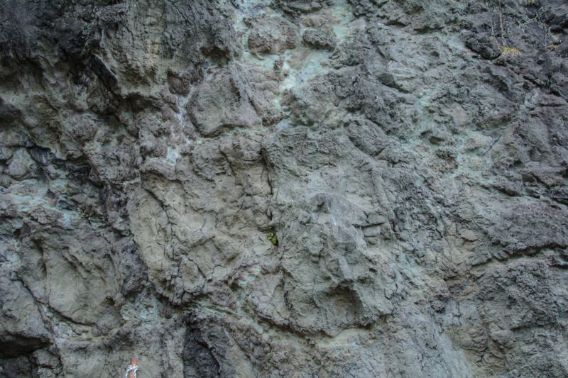 f:id:qshiro:20170207202031j:image:w360