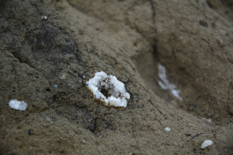 f:id:qshiro:20170207202034j:image:w360