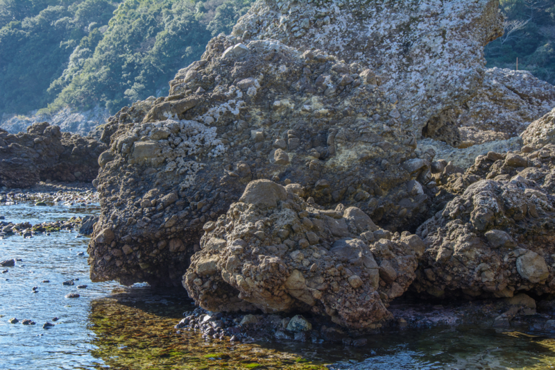 f:id:qshiro:20170207204839j:image:w360