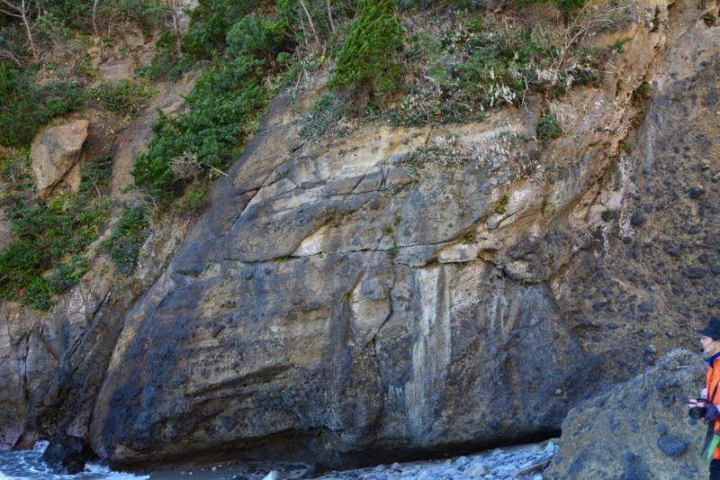 f:id:qshiro:20170207213629j:image:w360