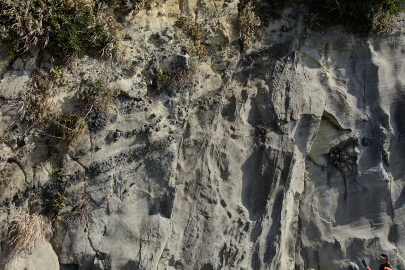 f:id:qshiro:20170207215204j:image:w360