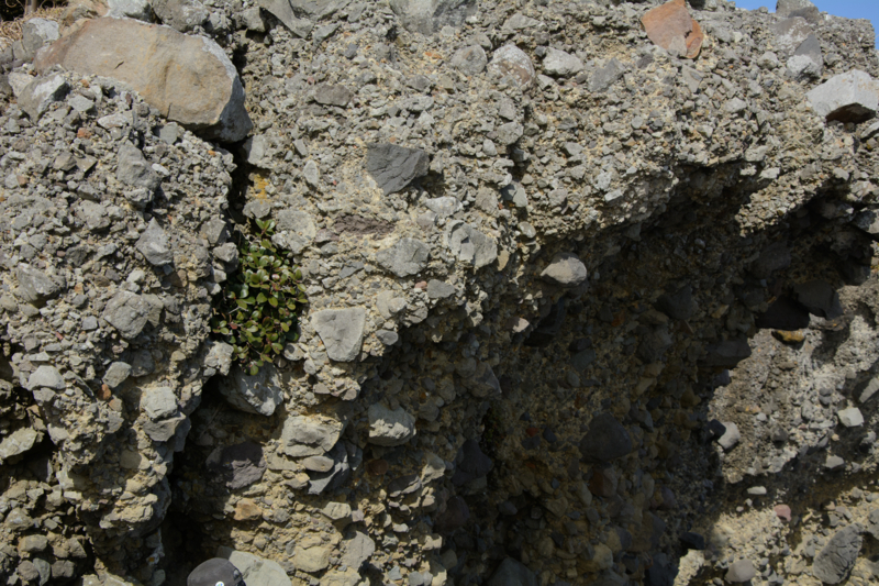 f:id:qshiro:20170207220323j:image:w360