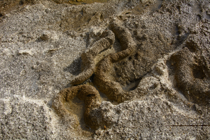 f:id:qshiro:20170208053722j:image:w360