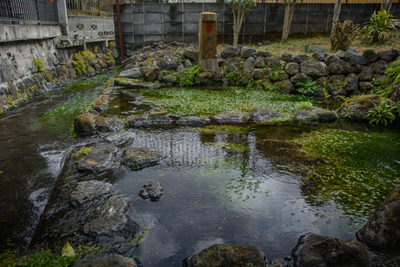 f:id:qshiro:20170220213125j:image:w360