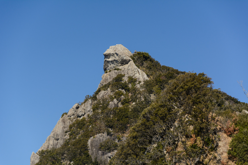 f:id:qshiro:20170226085507j:image:w360