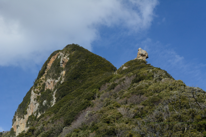 f:id:qshiro:20170226090226j:image:w360