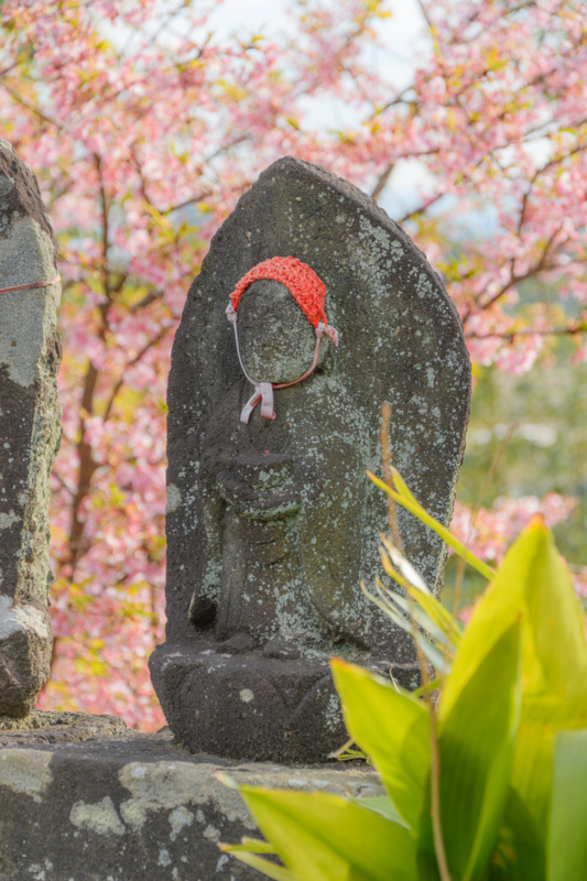 f:id:qshiro:20170226184434j:image:w260