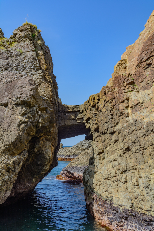 f:id:qshiro:20170425204455j:image:w260