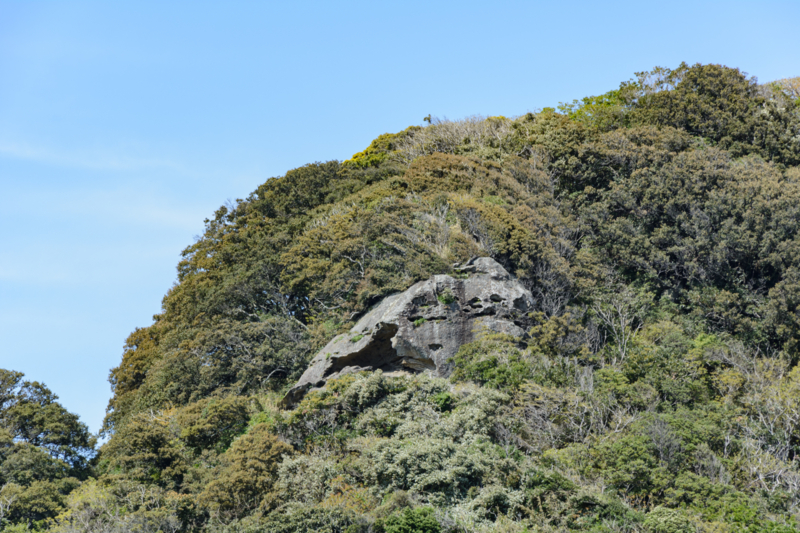 f:id:qshiro:20170425213707j:image:w360