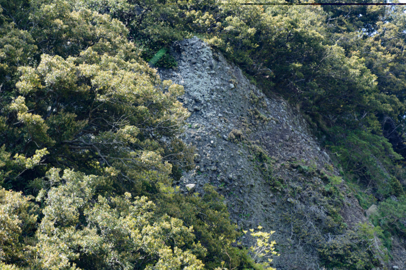 f:id:qshiro:20170425213711j:image:w360