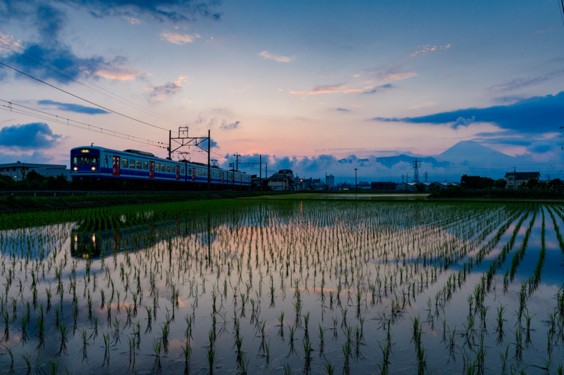 f:id:qshiro:20170623201604j:image:w360