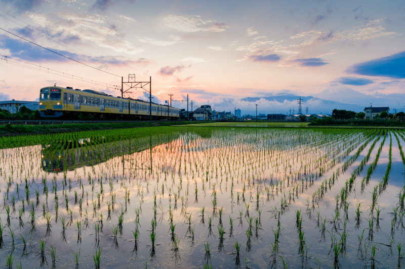 f:id:qshiro:20170623202327j:image:w360