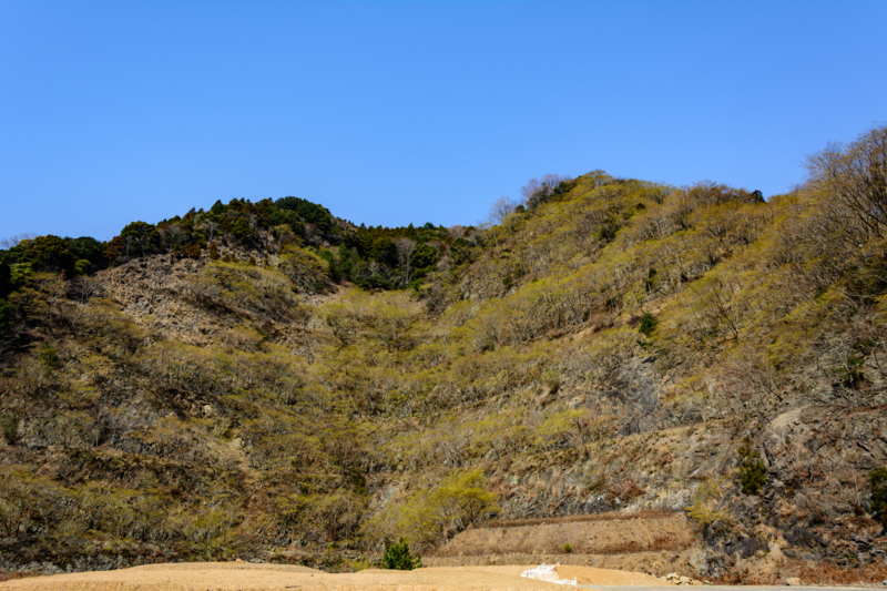 f:id:qshiro:20180314054520j:image:w360 f:id:qshiro:20180314054520j:image:w360