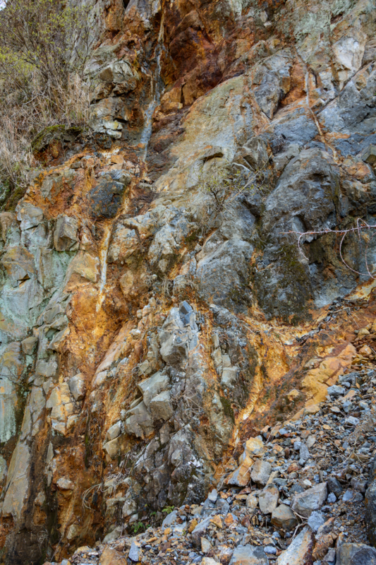 f:id:qshiro:20180314054540j:image:w260 f:id:qshiro:20180314054540j:image:w260