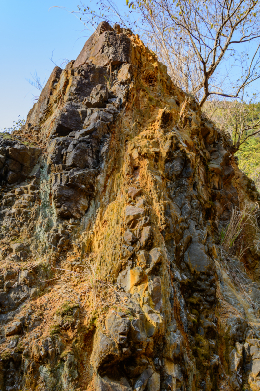 f:id:qshiro:20180314054715j:image:w260 f:id:qshiro:20180314054715j:image:w260