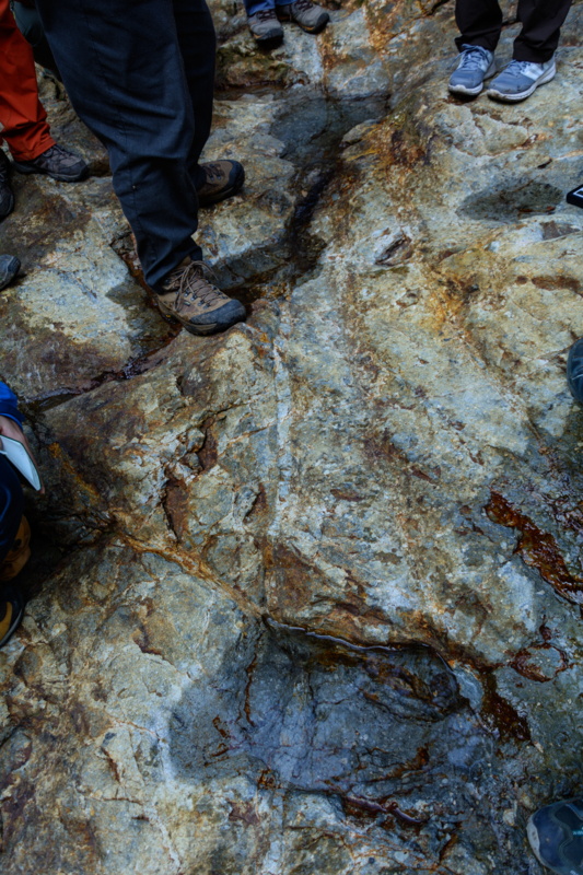 f:id:qshiro:20180314054721j:image:w260 f:id:qshiro:20180314054721j:image:w260