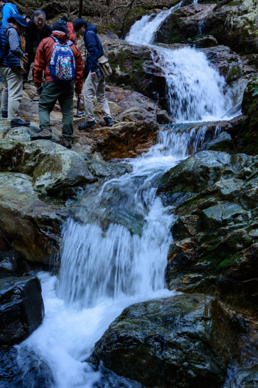 f:id:qshiro:20180314054728j:image:w260 f:id:qshiro:20180314054728j:image:w260