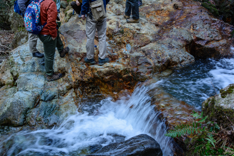 f:id:qshiro:20180314054735j:image:w360 f:id:qshiro:20180314054735j:image:w360