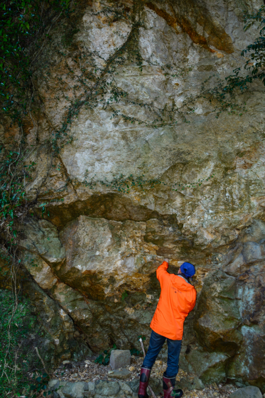 f:id:qshiro:20180314054742j:image:w260 f:id:qshiro:20180314054742j:image:w260