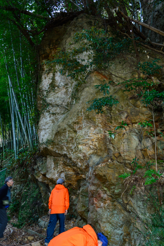 f:id:qshiro:20180314054921j:image:w260 f:id:qshiro:20180314054921j:image:w260