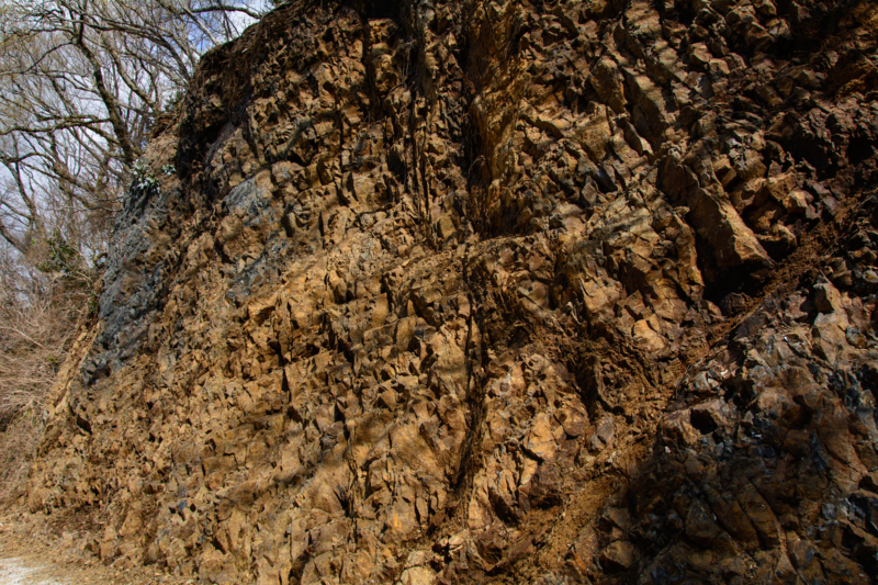 f:id:qshiro:20180320102703j:image:w360