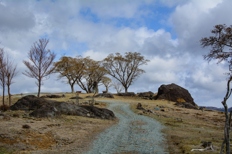 f:id:qshiro:20180320102710j:image:w360