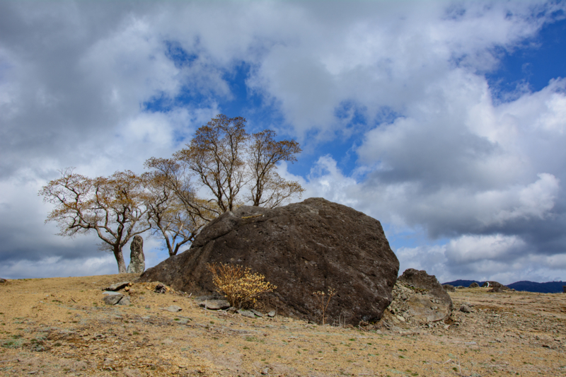 f:id:qshiro:20180320102936j:image:w360