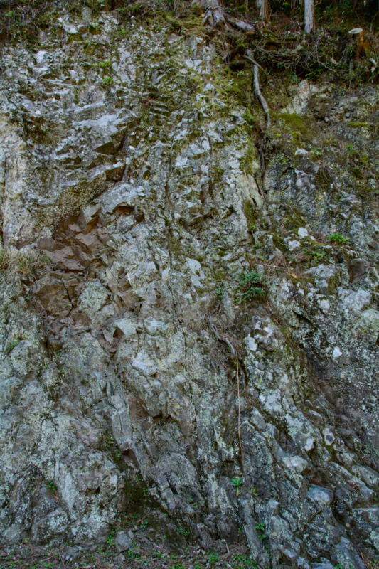 f:id:qshiro:20180320103125j:image:w260