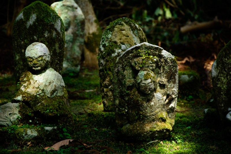 f:id:qshiro:20180320103145j:image:w360