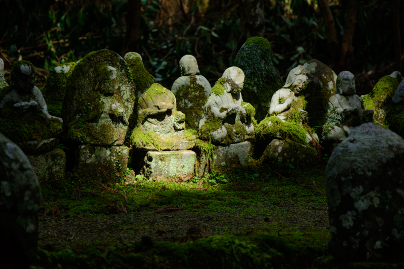 f:id:qshiro:20180320103555j:image:w360