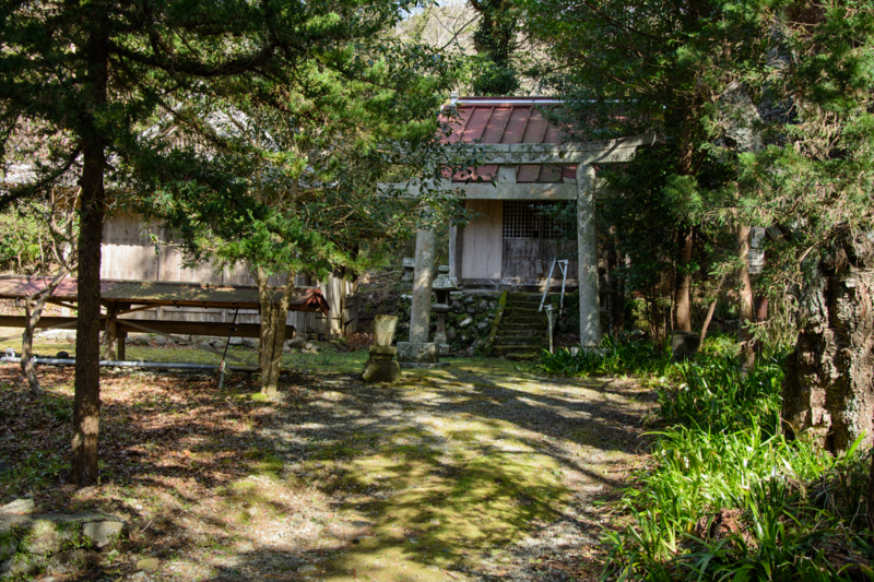 f:id:qshiro:20180320103609j:image:w360