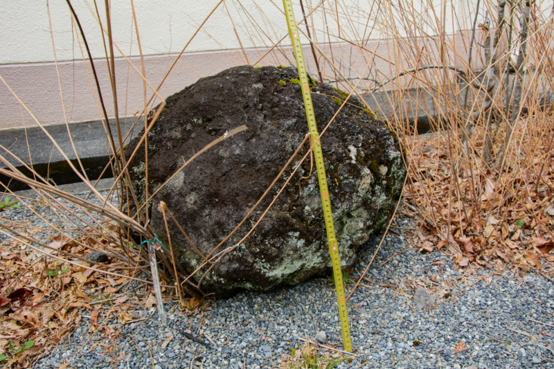 f:id:qshiro:20180324194036j:image:w360