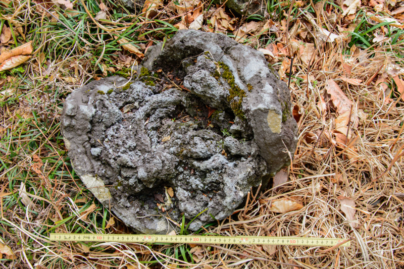 f:id:qshiro:20180324194043j:image:w360