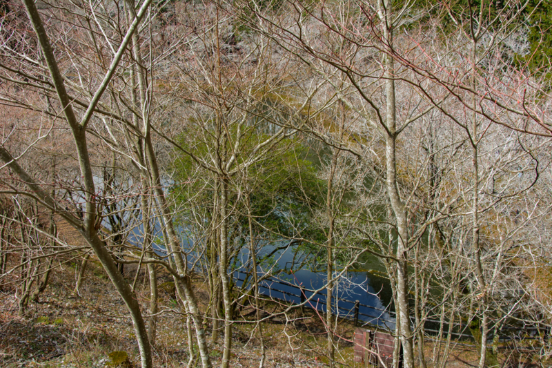 f:id:qshiro:20180324194051j:image:w360