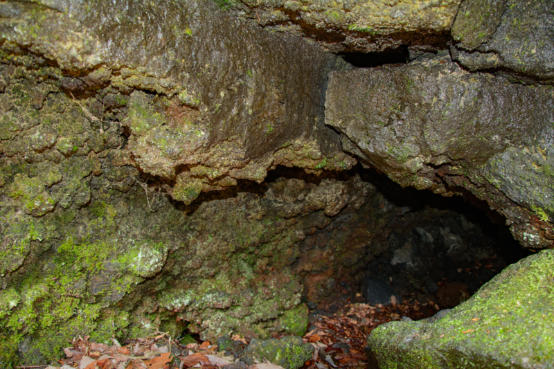 f:id:qshiro:20180324194058j:image:w360