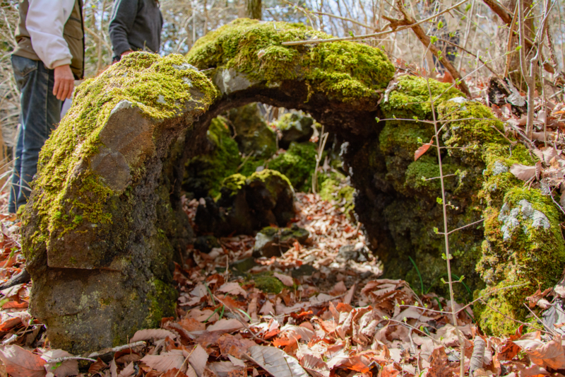 f:id:qshiro:20180324194241j:image:w360