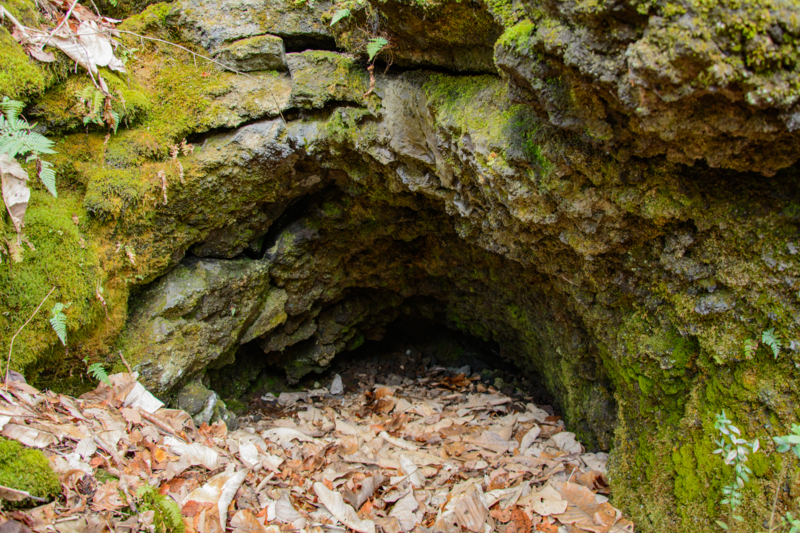 f:id:qshiro:20180324194248j:image:w360