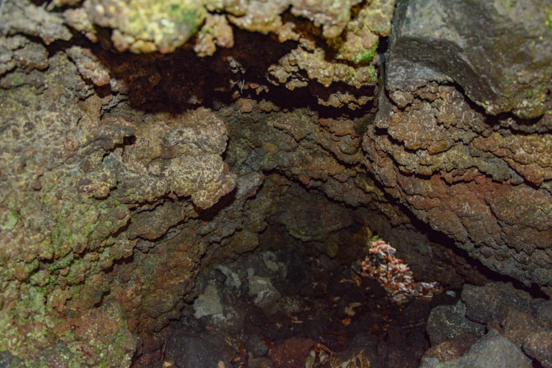 f:id:qshiro:20180324194302j:image:w360