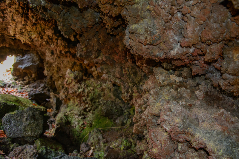 f:id:qshiro:20180324195548j:image:w360