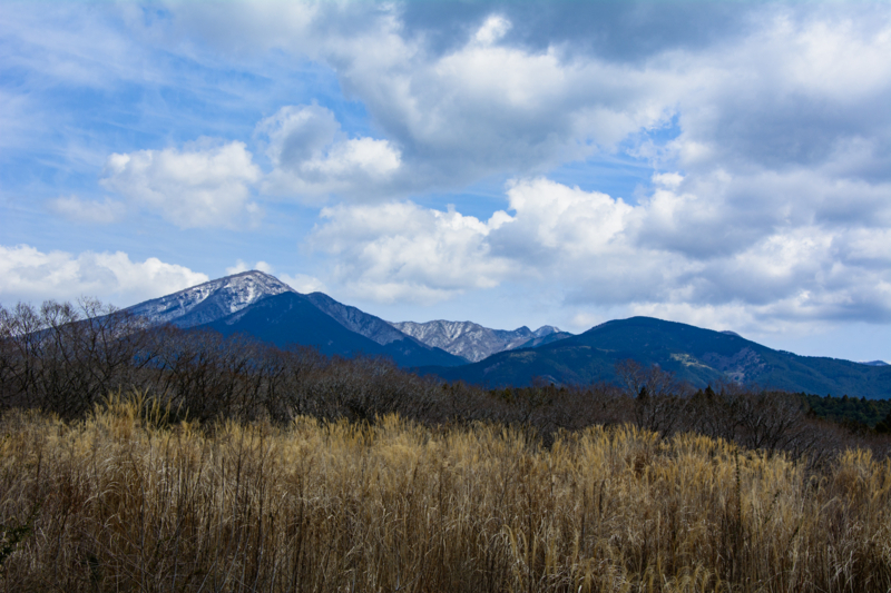 f:id:qshiro:20180324195604j:image:w360