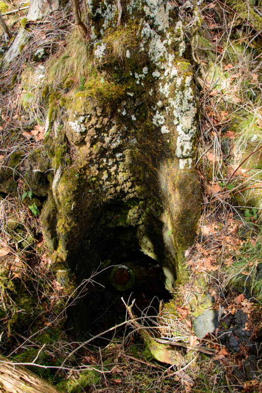 f:id:qshiro:20180324200751j:image:w260