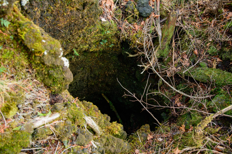 f:id:qshiro:20180324200759j:image:w360