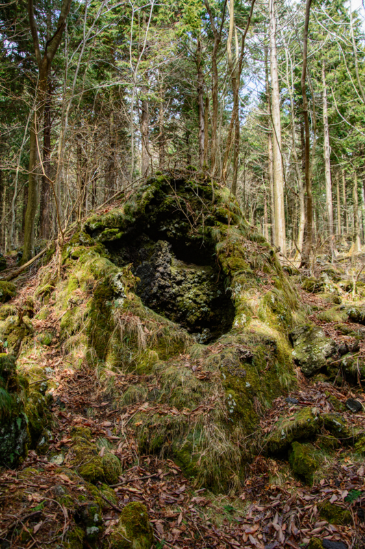 f:id:qshiro:20180324200828j:image:w260