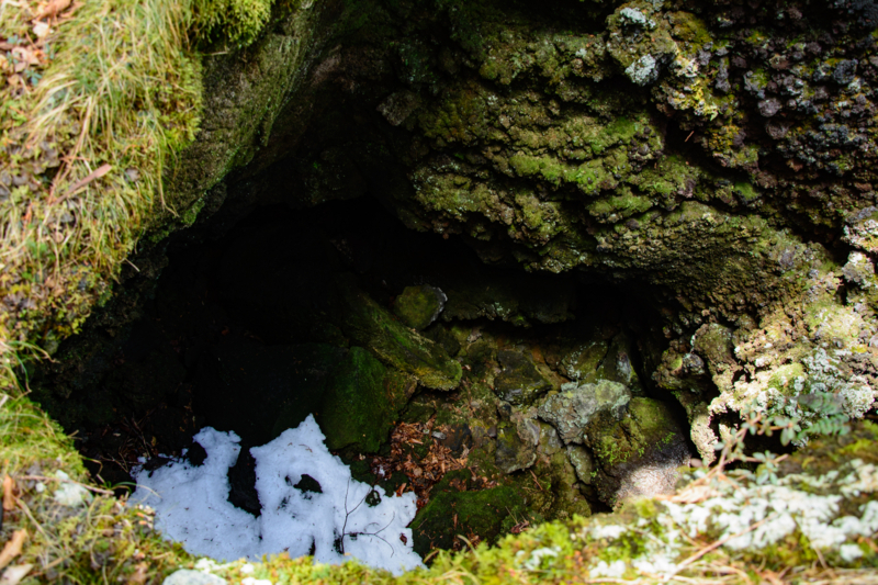 f:id:qshiro:20180324202258j:image:w360