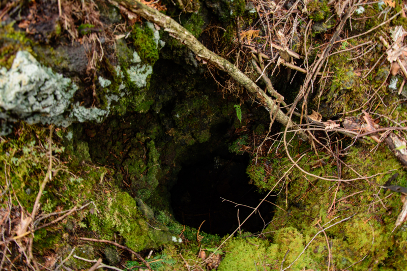 f:id:qshiro:20180324202305j:image:w360