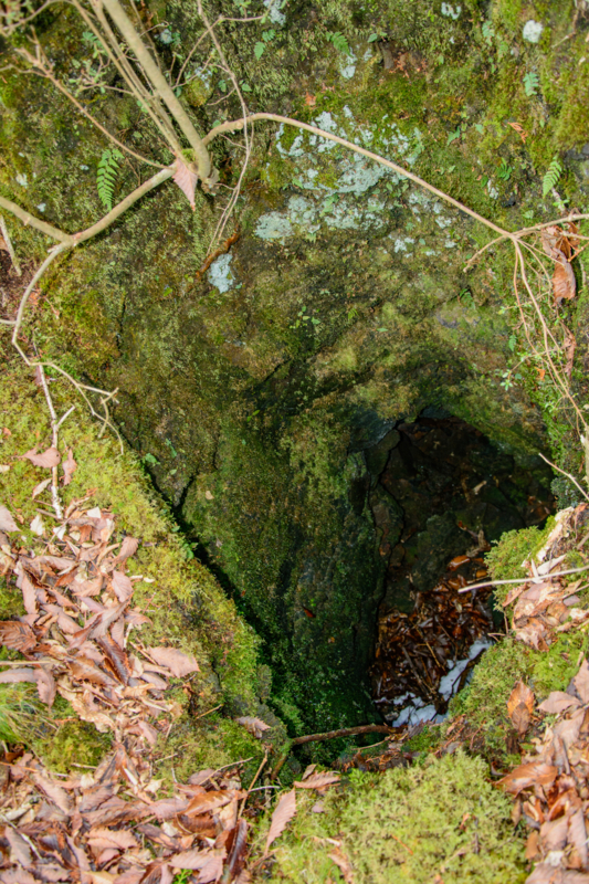 f:id:qshiro:20180324202325j:image:w260