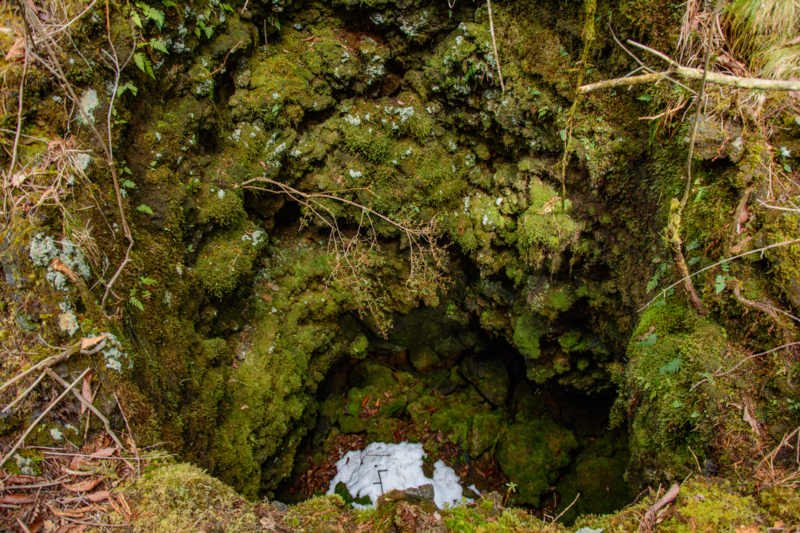 f:id:qshiro:20180324202331j:image:w360