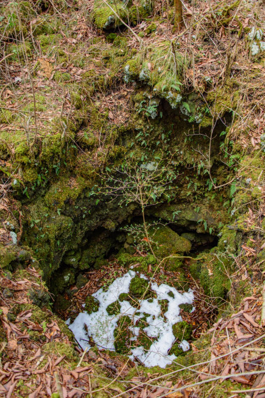 f:id:qshiro:20180324203246j:image:w260