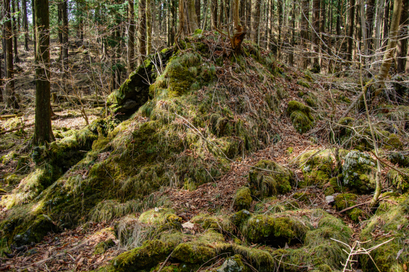 f:id:qshiro:20180324203253j:image:w360