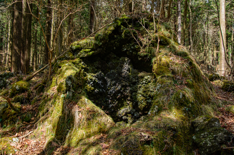 f:id:qshiro:20180324203302j:image:w360